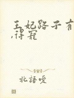 王妃路子有点野,得宠