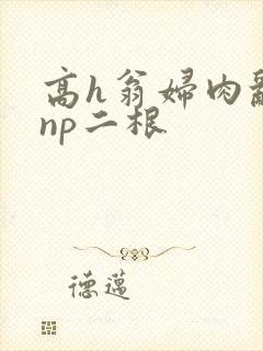 高h翁妇肉乱文np二根