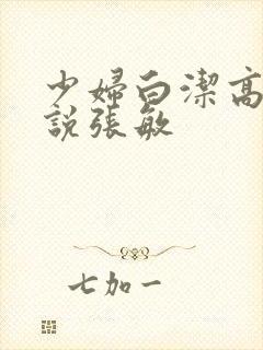 少妇白洁高义小说张敏封面