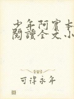 少年阿宾本全文阅读全文小说