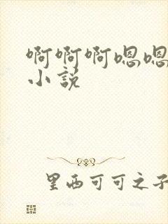 啊啊啊嗯嗯嗯的小说