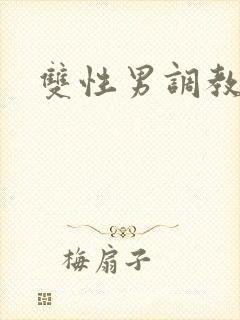 双性男调教小说封面