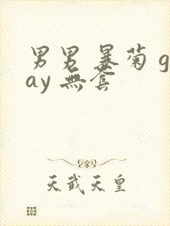 男男 暴菊 gay 无套