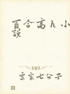 百合高 h 小说封面