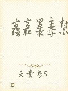 古言男主对女主强取豪夺小说封面