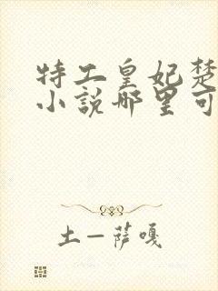 特工皇妃楚乔传小说哪里可以看