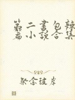 第二书包辣网短篇小说合集