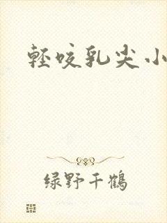 轻咬乳尖小说