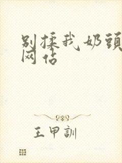 别揉我奶头嗯啊网站