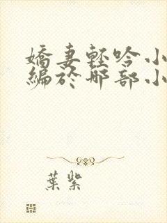 娇妻轻吟小说改编于哪部小说