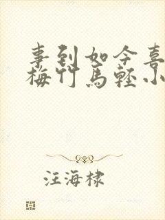 事到如今喜欢青梅竹马轻小说封面