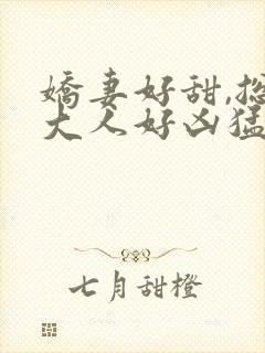 娇妻好甜,总裁大人好凶猛