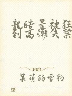 龙皓晨被狂c躁到高潮失禁封面