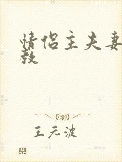 情侣主夫妻主调教封面