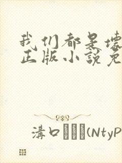 我们都是坏孩子正版小说免费阅读封面