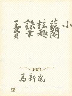 王铁柱苏小汐免费笔趣阁