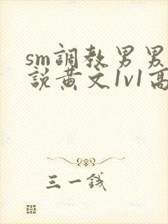 sm调教男男小说黄文1v1高h强制