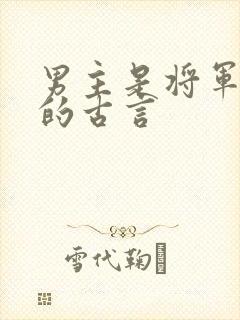 男主是将军很虐的古言