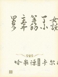 男主等了女主很多年的小说