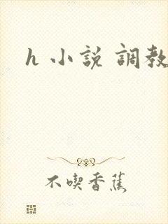 h 小说 调教