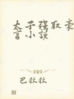 太子强取豪夺古言小说