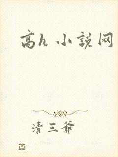 高h 小说网