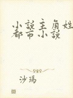 小说主角姓沈的都市小说封面