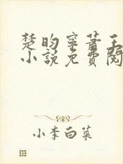 楚昀宁萧王穿越小说免费阅读无弹窗封面