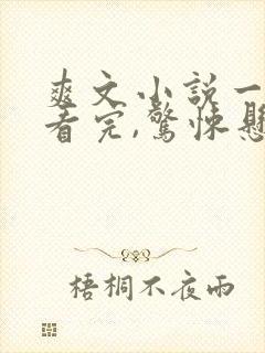 爽文小说一口气看完,惊悚悬疑恐怖