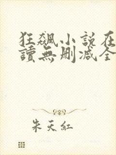 狂飙小说在线阅读无删减全文