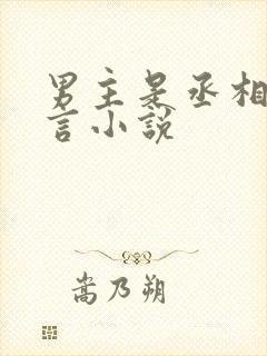 男主是丞相的古言小说