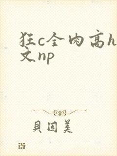 狂c全肉高h辣文np