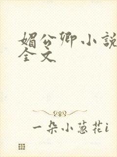 媚公卿小说阅读全文