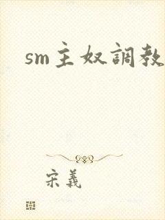 sm主奴调教文封面