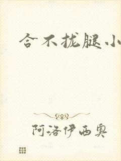 合不拢腿小说