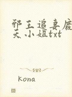 邪王追妻废材逆天小姐txt