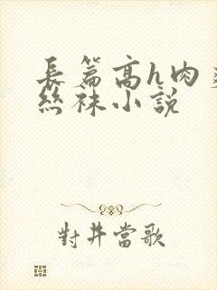 长篇高h肉爽文丝袜小说