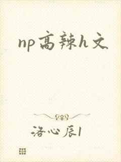 np高辣h文封面