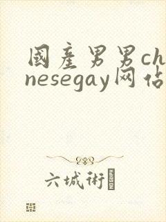 国产男男chinesegay网站