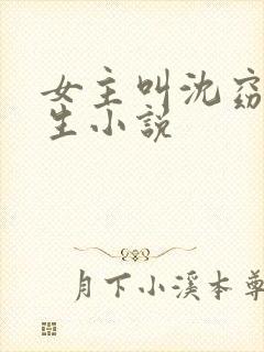 女主叫沈窈的重生小说封面