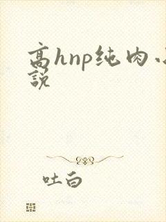 高hnp纯肉小说