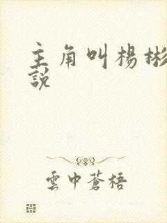 主角叫杨彬的小说