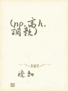 (np,高h,调教)