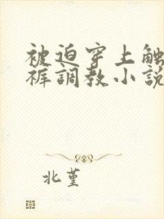 被迫穿上触手内裤调教小说封面