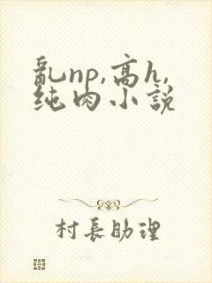 乱np,高h,纯肉小说