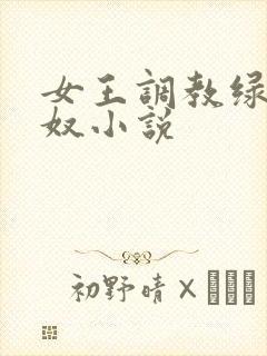 女王调教绿帽锁奴小说