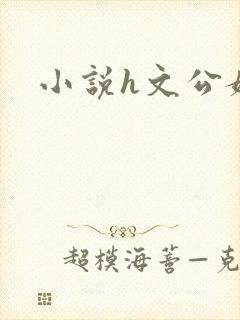 小说h文公媳
