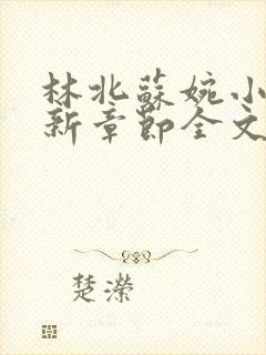 林北苏婉小说最新章节全文阅读