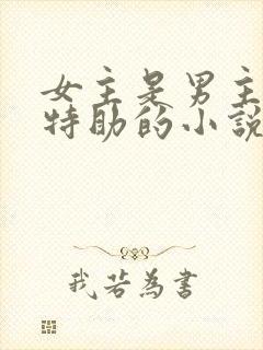 女主是男主首席特助的小说封面