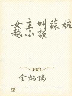 女主叫苏婉的穿越小说